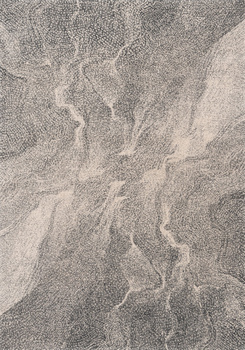 Dywan wełniany do salonu Agnella RIVO Grafitowy CALISIA