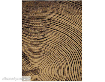 Dywan nowoczesny do salonu DĄB Brązowy ALFA