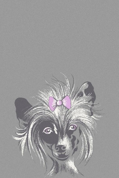 Dywan młodzieżowy Agnella PIESEK Róż SOFT