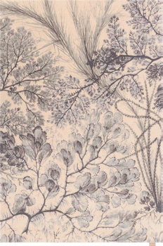 Dywan wełniany do salonu Agnella KELP Miętowy CALISIA