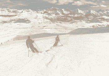 Dywan do salonu Agnella FD NARCIARZE Perła Kremowy LIDA