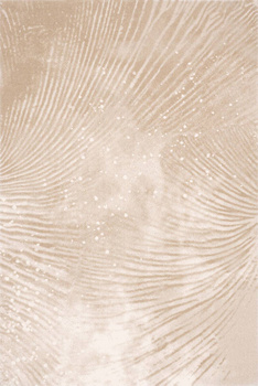 Dywan wełniany do salonu Agnella REEF Beżowy TEMPO NATURAL