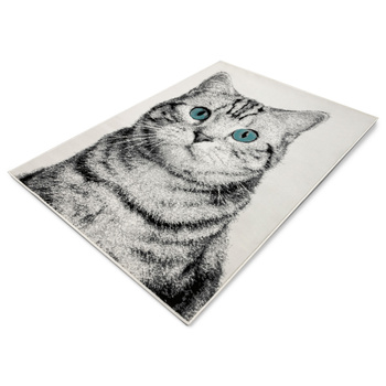 Dywan nowoczesny do salonu KOTEK ALFA