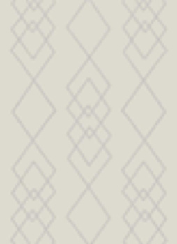 Dywan nowoczesny do salonu WARM Len EDEN