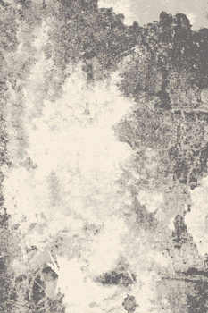 Dywan wełniany do salonu Agnella TEX Popielaty ISFAHAN M