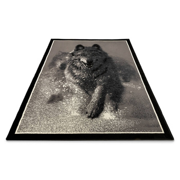 Dywan nowoczesny do salonu pies HUSKY Czerń Popiel NAIROBI