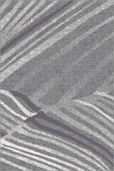 Dywan nowoczesny do salonu Agnella FD CADNE Popielaty SENSI