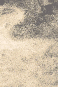 Dywan wełniany do salonu Agnella TYRK Piaskowy ISFAHAN M