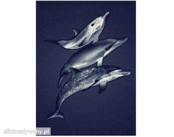Dywan nowoczesny Delfiny ALFA
